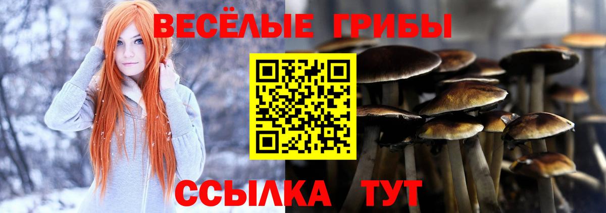 Псилоцибиновые грибы ЛСД  Галлюциногенные грибы мицелий  Ахтубинск  Вход с VPN 